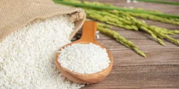 تصویر 4 از قیمت خرید برنج فوق اعلای جنوب + فروش ویژه
